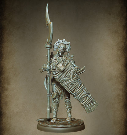 Mummy Guard - Tomb Sentinels (11 figurines)