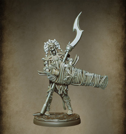 Mummy Guard - Tomb Sentinels (11 figurines)