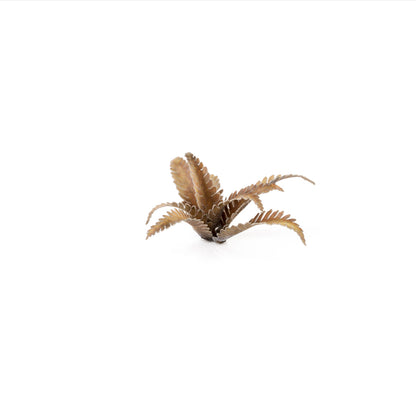 Deer Fern